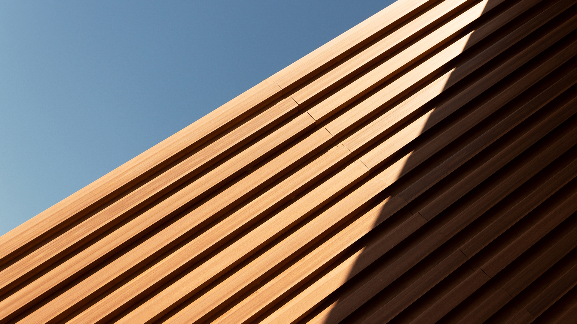 Designing an external spend management strategy at a large financial services company