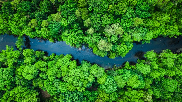 Nature-green-river-AdobeStock_291096077